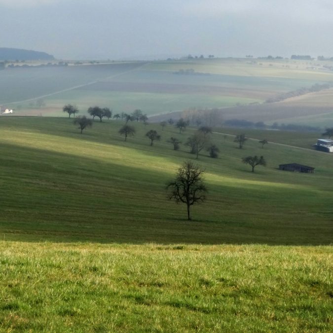 En images Behren-lès-Forbach 4